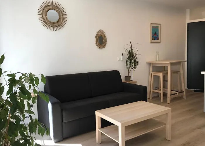 Studio Port Moderne Hypercentre Lumineux Climatise